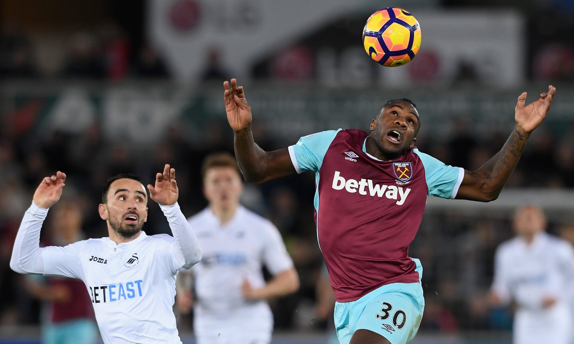 一匹潜力股 一匹潜力股